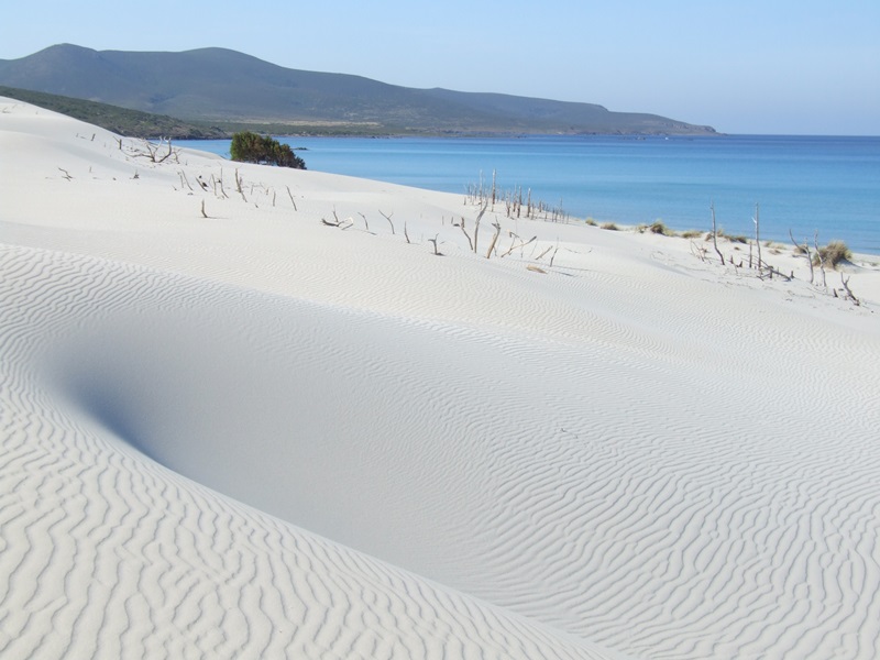 santanna arresi dune