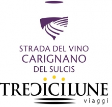 TREDICILUNE VIAGGI